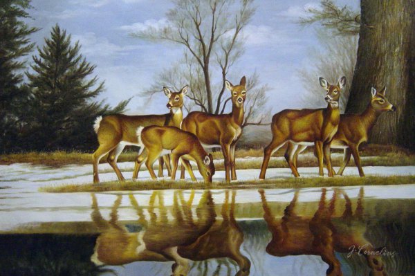 Deer Reflections. The painting by Our Originals