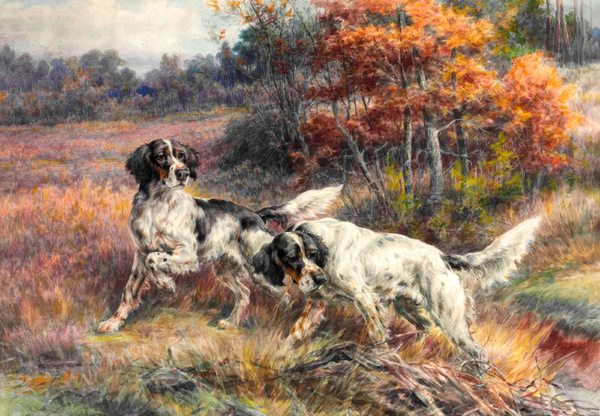Setters in the Field. The painting by Edmund Henry Osthaus