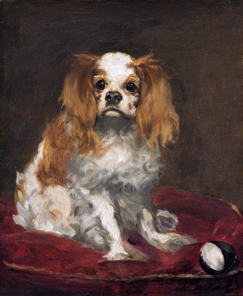 A King Charles Spaniel. The painting by Edouard Manet