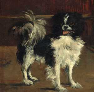 Edouard Manet, Tama, the Japanese Dog, Painting on canvas