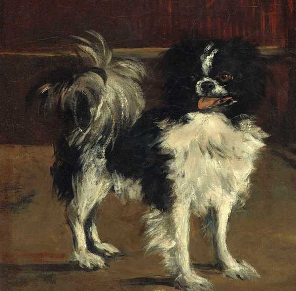 Tama, the Japanese Dog. The painting by Edouard Manet