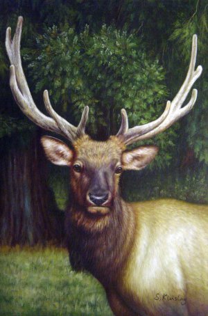 Our Originals, Elk Portrait, Painting on canvas