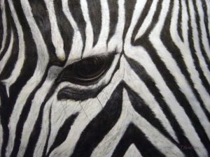 Our Originals, Eye Of The Zebra, Painting on canvas