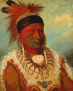 Reproduction oil paintings - George Catlin - The White Cloud, Head Chief of the Iowas