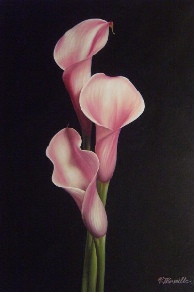 Gorgeous Calla Lilies. The painting by Our Originals