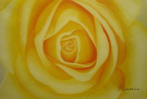 Our Originals, Gorgeous Yellow Rose, Painting on canvas