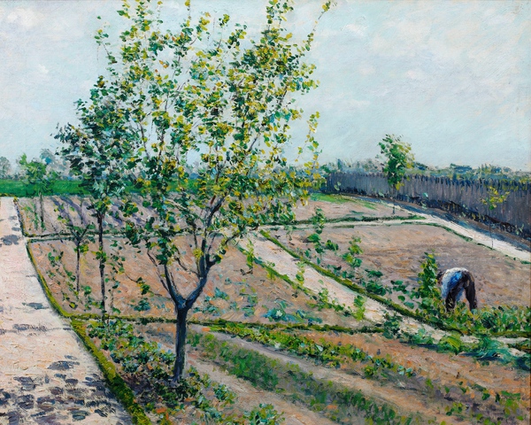 The Kitchen Garden in Petit Gennevilliers. The painting by Gustave Caillebotte