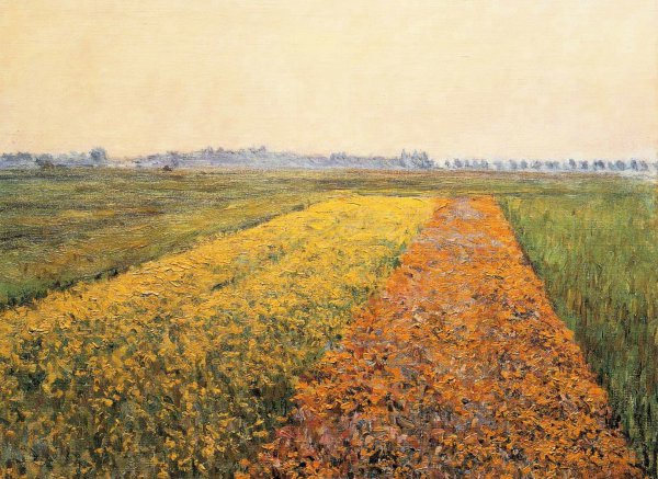 The Yellow Fields at Gennevilliers. The painting by Gustave Caillebotte