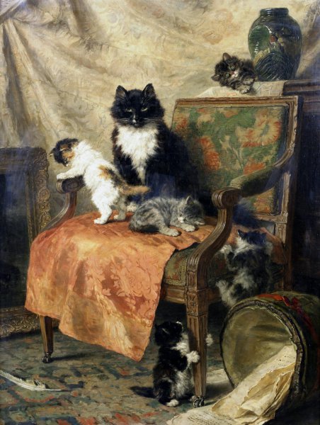 Kittens at Play. The painting by Henriette Ronner-Knip