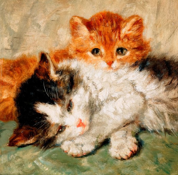 Sleepy Kittens. The painting by Henriette Ronner-Knip