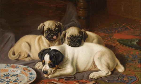 Dinner, Two Pugs and a Terrier. The painting by Horatio Henry Couldery