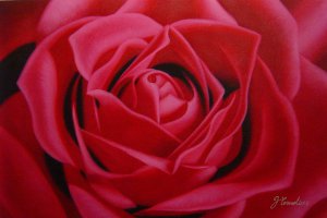 Our Originals, Hot Pink Rose, Painting on canvas