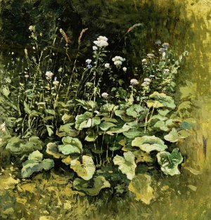 Iosif Evstafevich Krachkovsky, Wild Grass, Painting on canvas