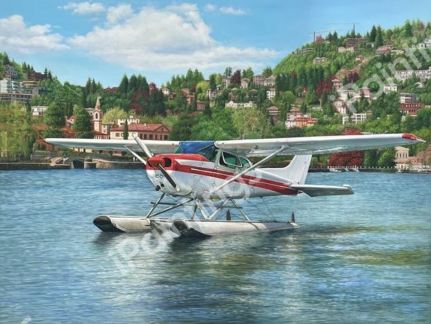 A Coastal Village with Seaplane. The painting by Our Originals