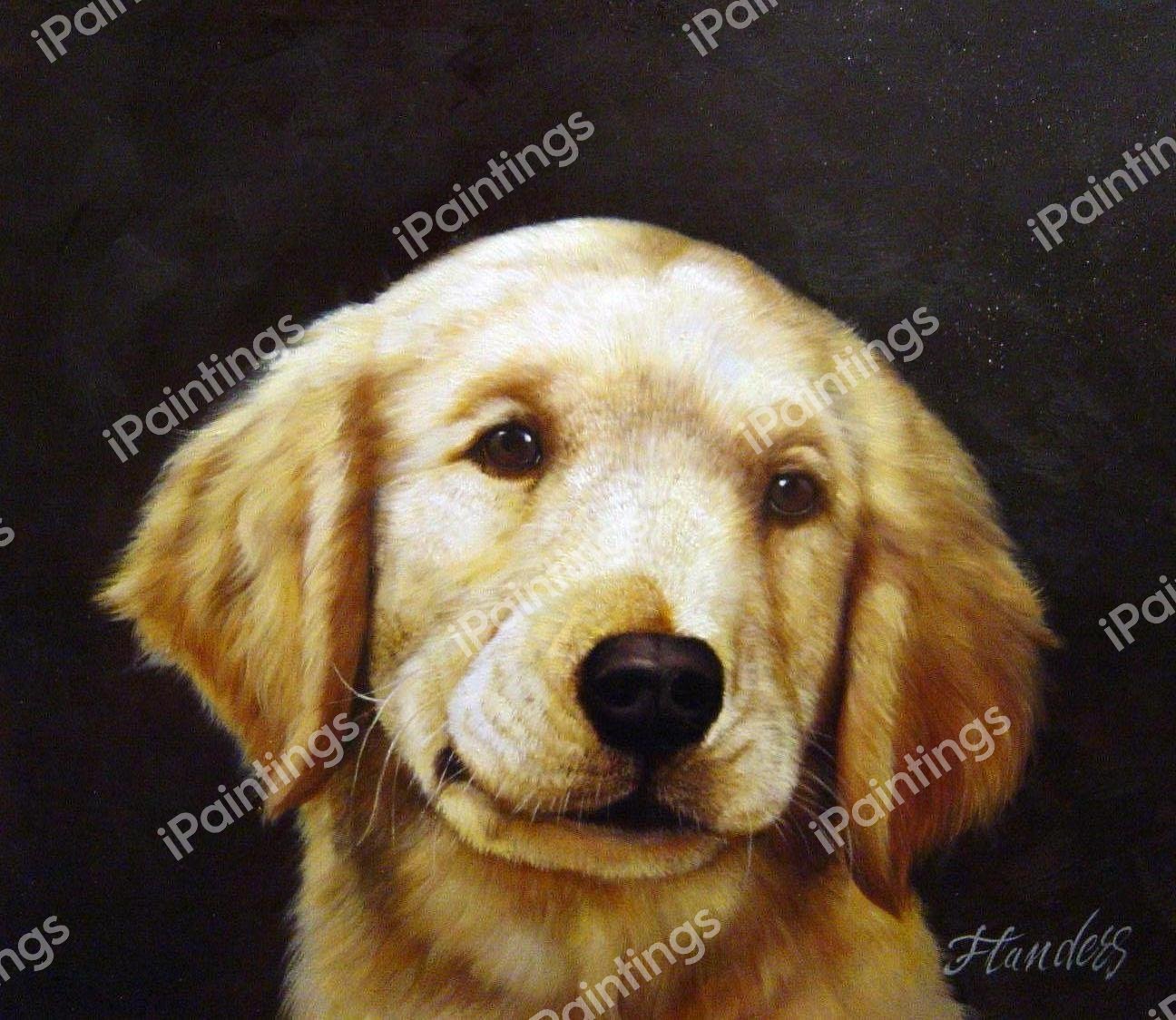 A Friendly Face. The painting by Our Originals