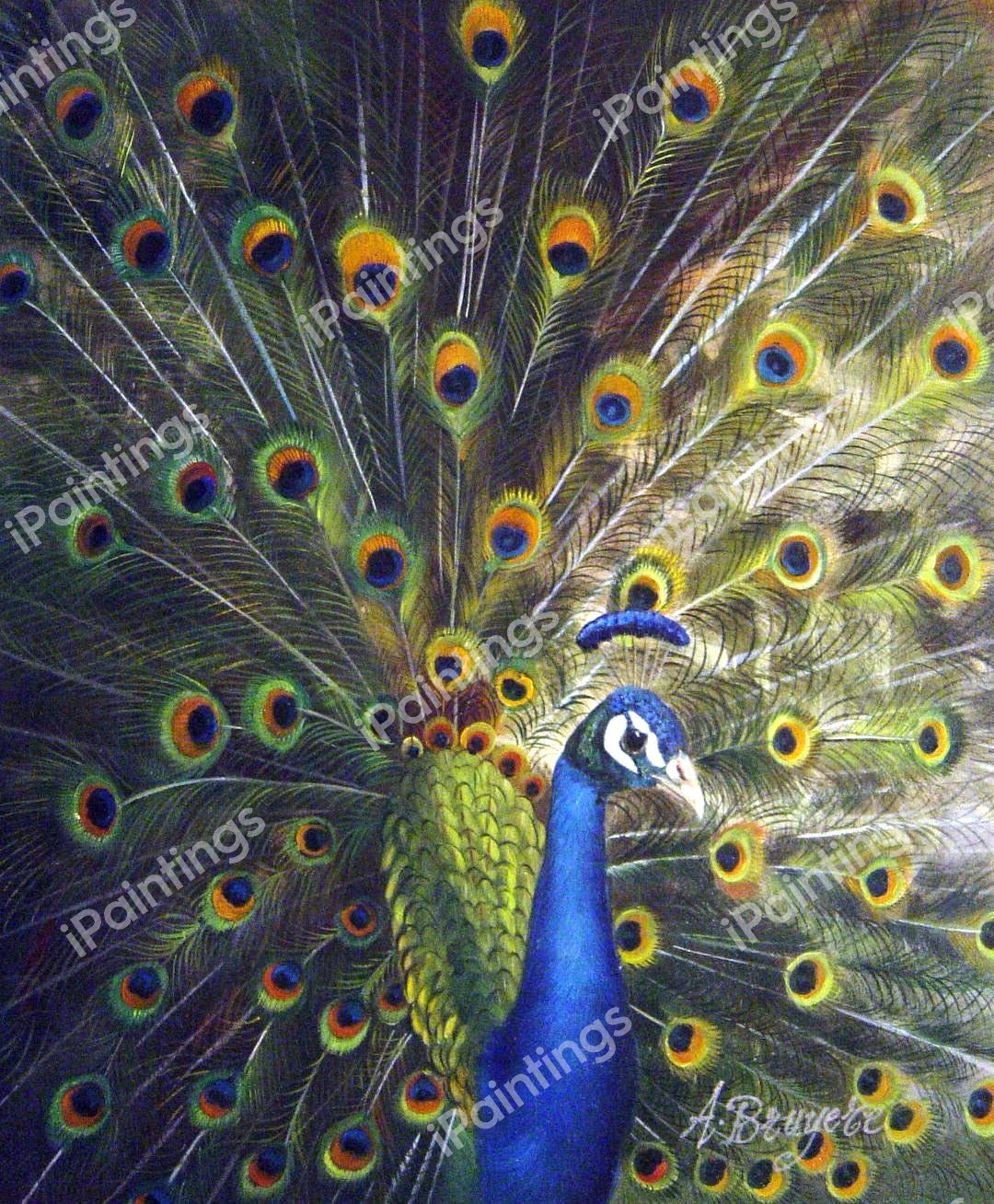 A Magnificent Peacock. The painting by Our Originals