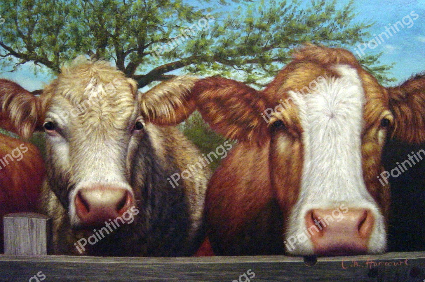 A Pair Of Dairy Cows. The painting by Our Originals