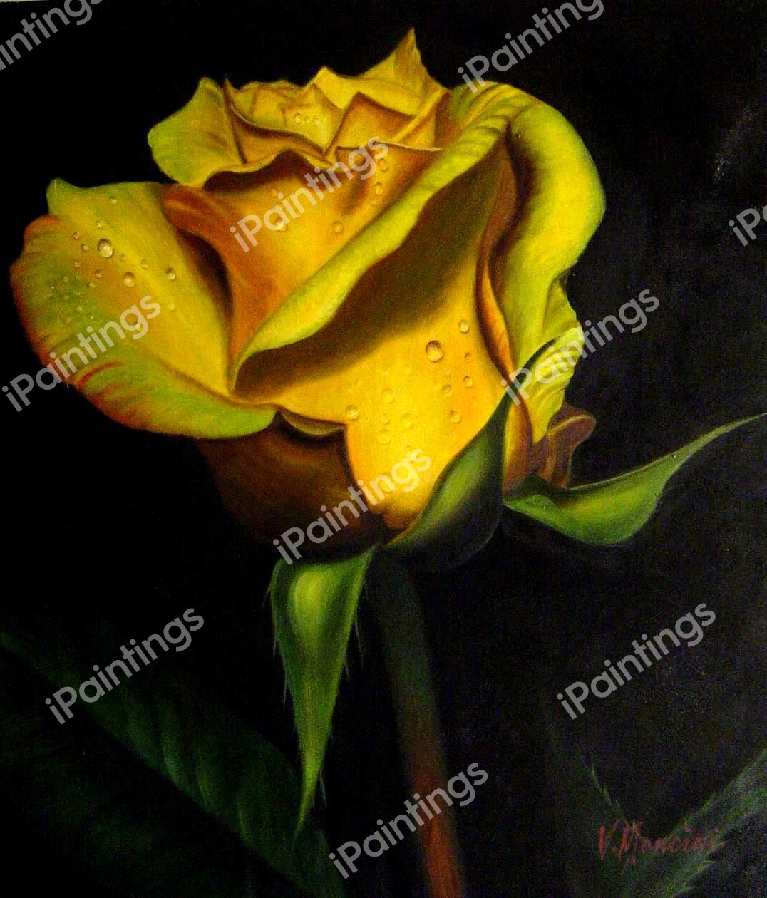 A Perfect Yellow Rose. The painting by Our Originals
