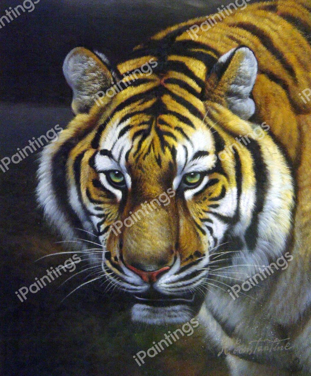 A Tiger Stare. The painting by Our Originals
