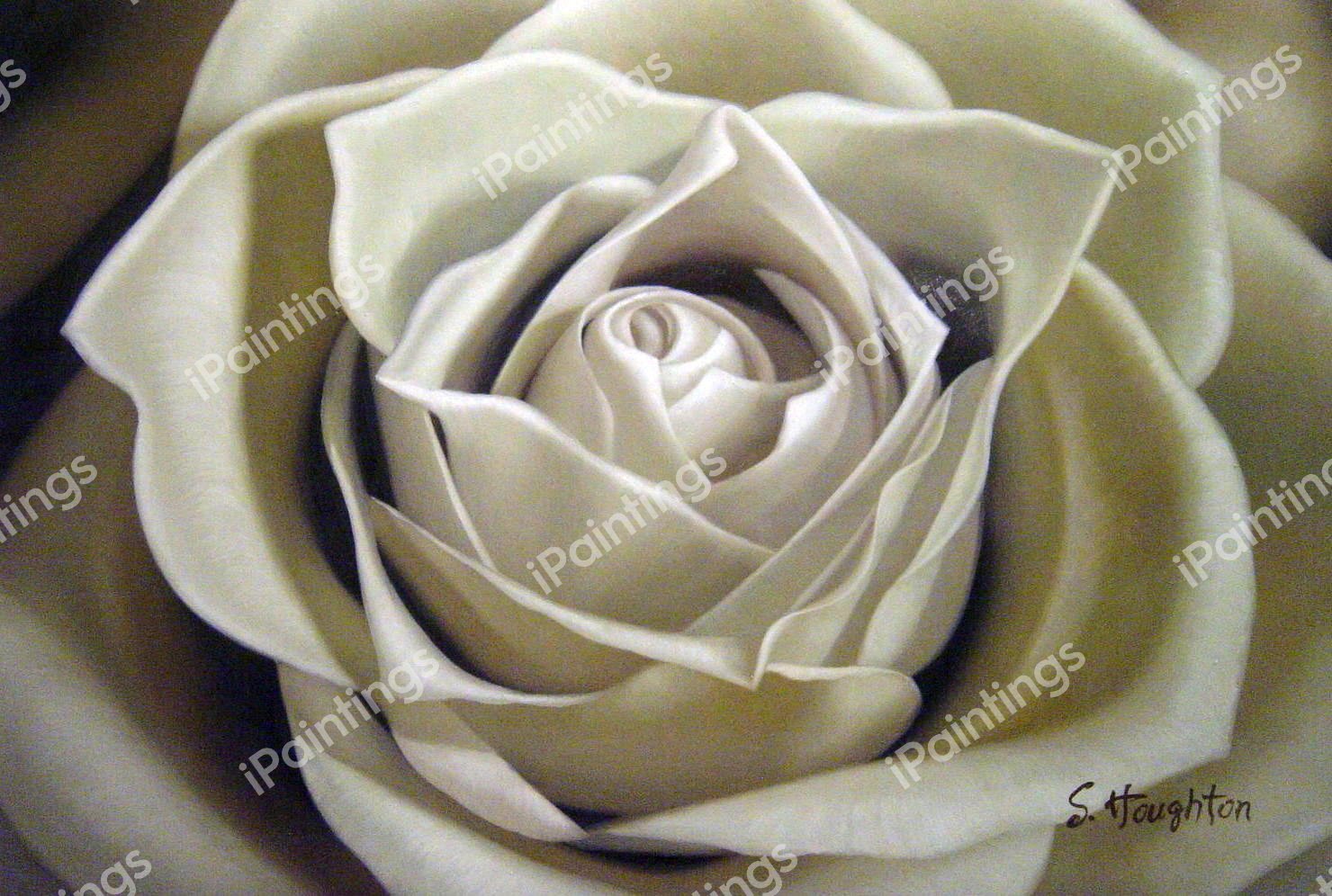 A White Sepia Rose. The painting by Our Originals
