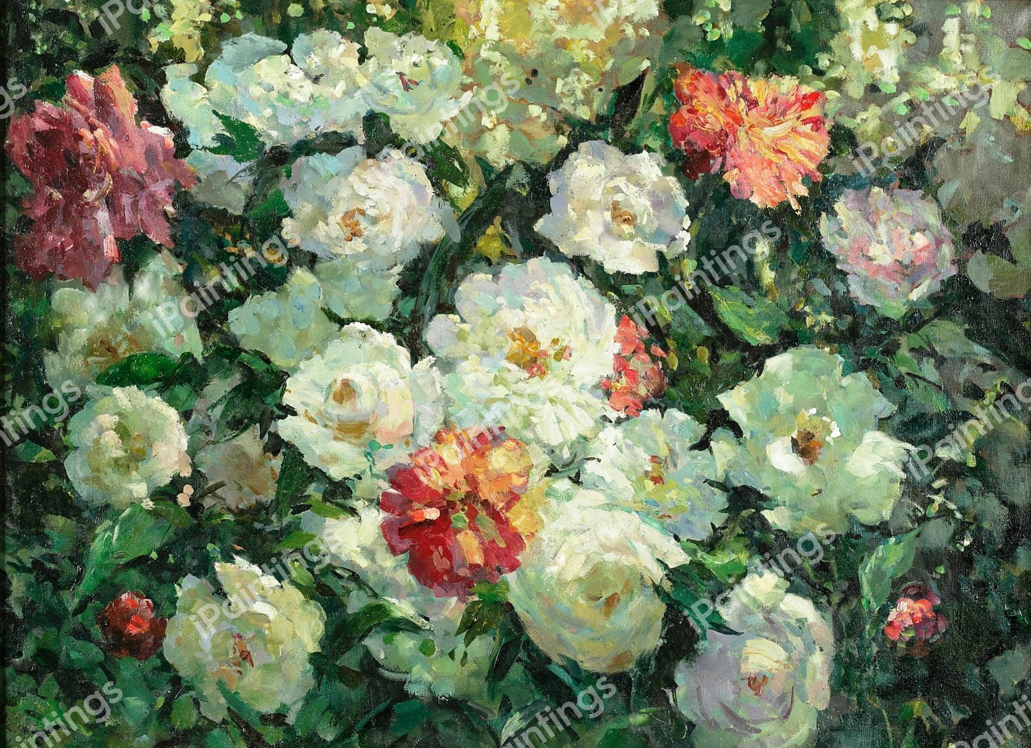 Peonies. The painting by Abbott Fuller Graves