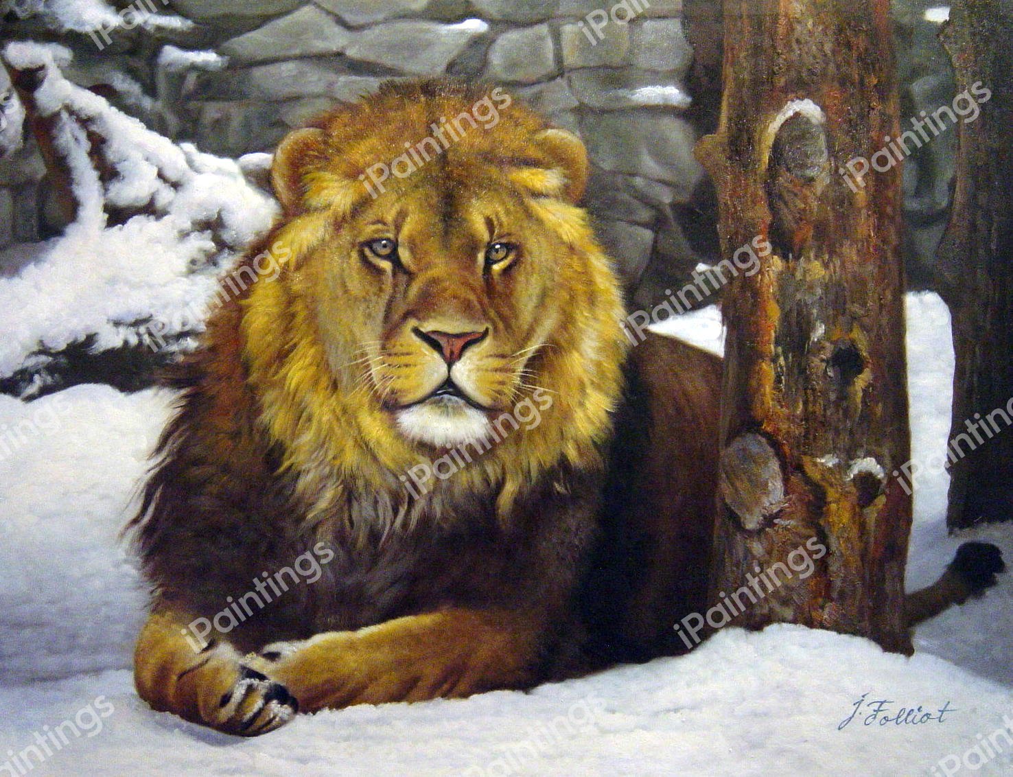 African Lion In The Snow. The painting by Our Originals