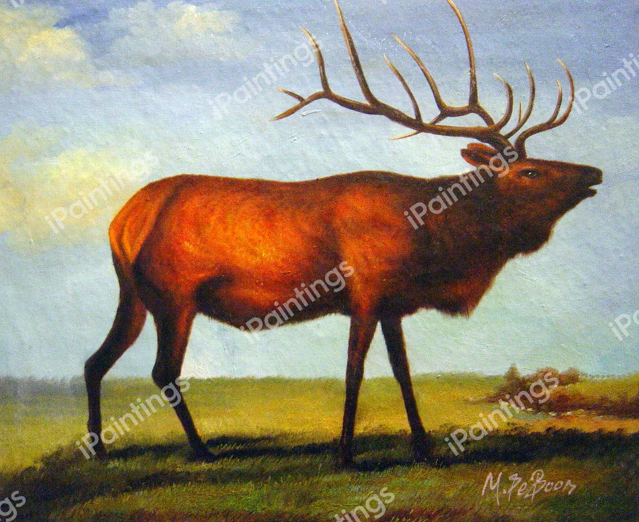 Elk. The painting by Albert Bierstadt