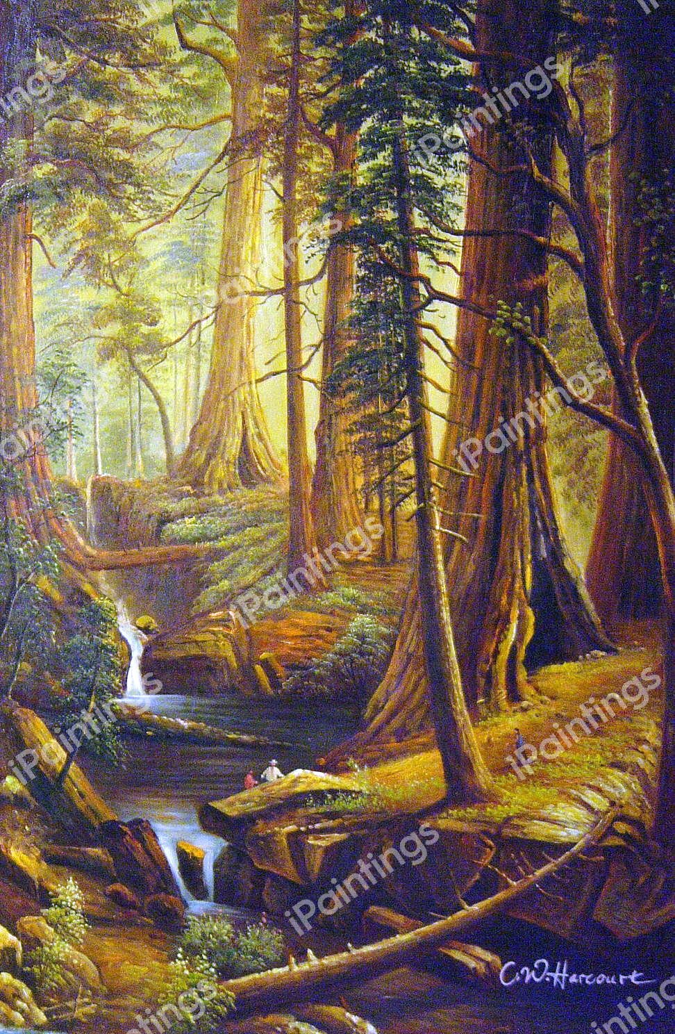 Giant Redwood Trees Of California Painting by Albert