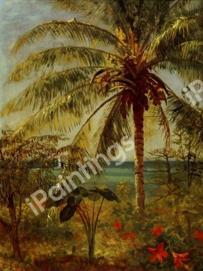 Palm Tree, Nassau. The painting by Albert Bierstadt