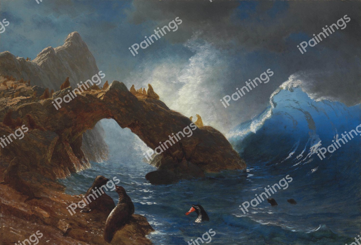 Seals on the Rocks. The painting by Albert Bierstadt