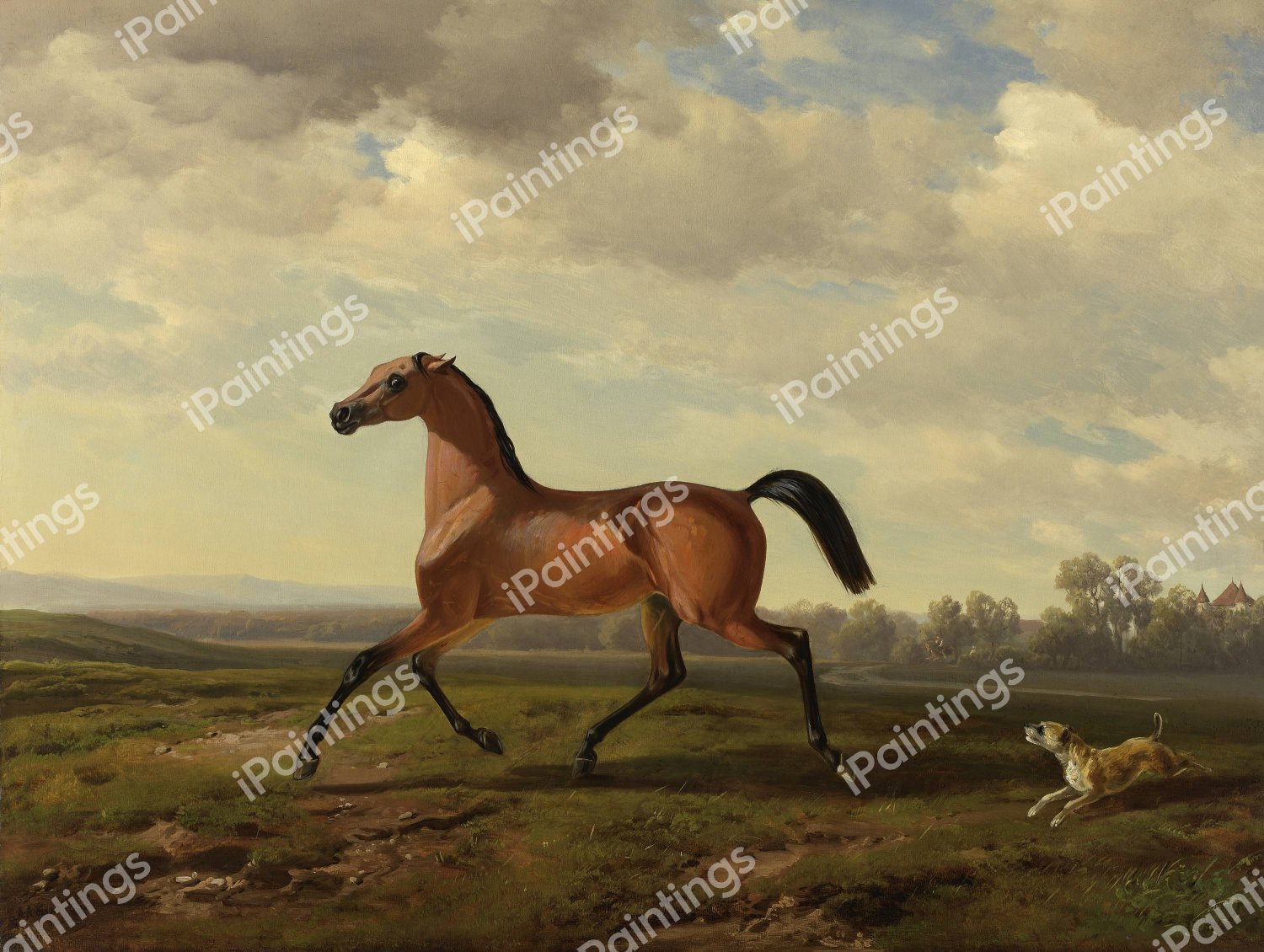 An Arab Thoroughbred at Schloss Blutenburg. The painting by Albrecht Adam