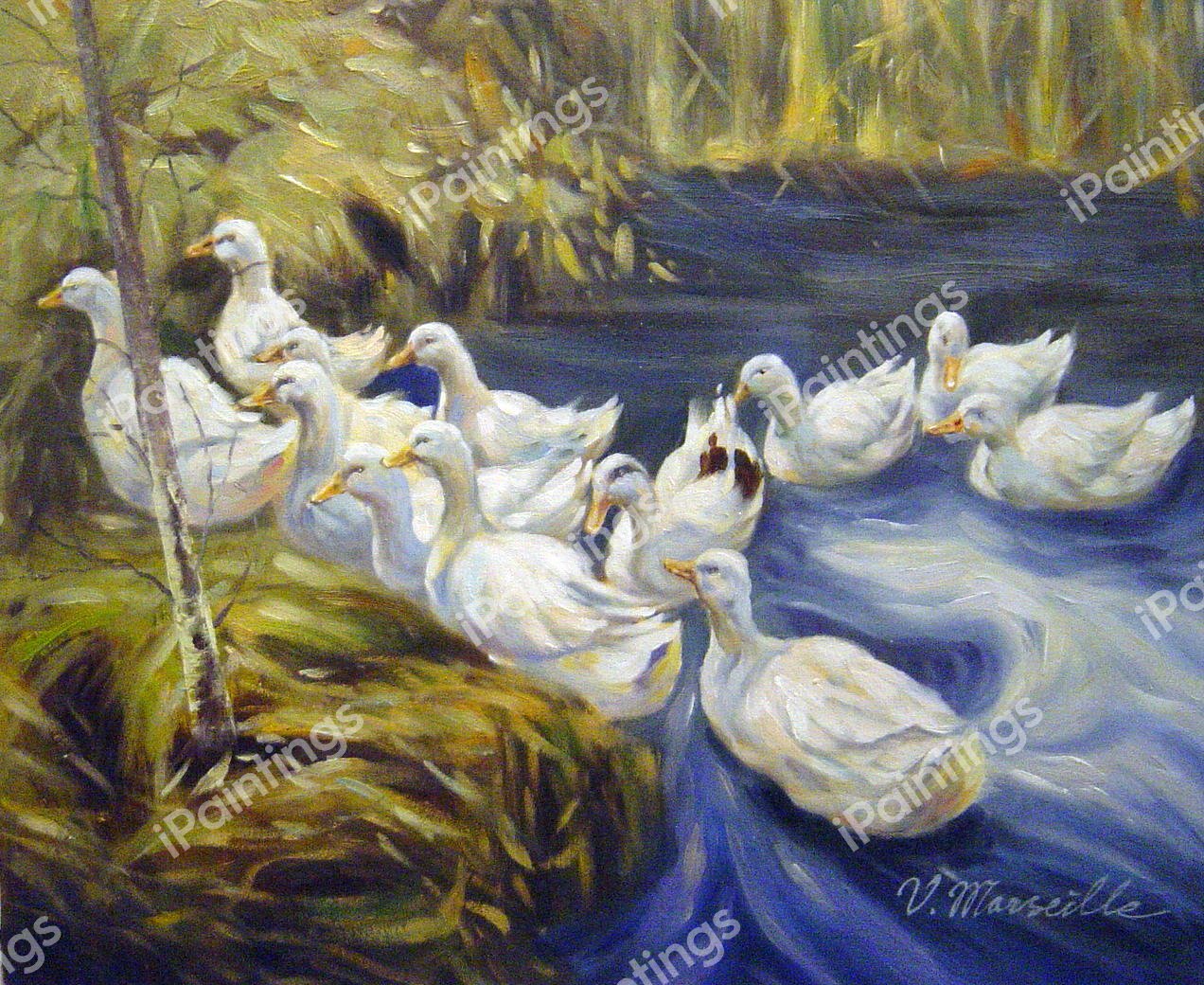 Ducks In Landscape. The painting by Alexander Koester