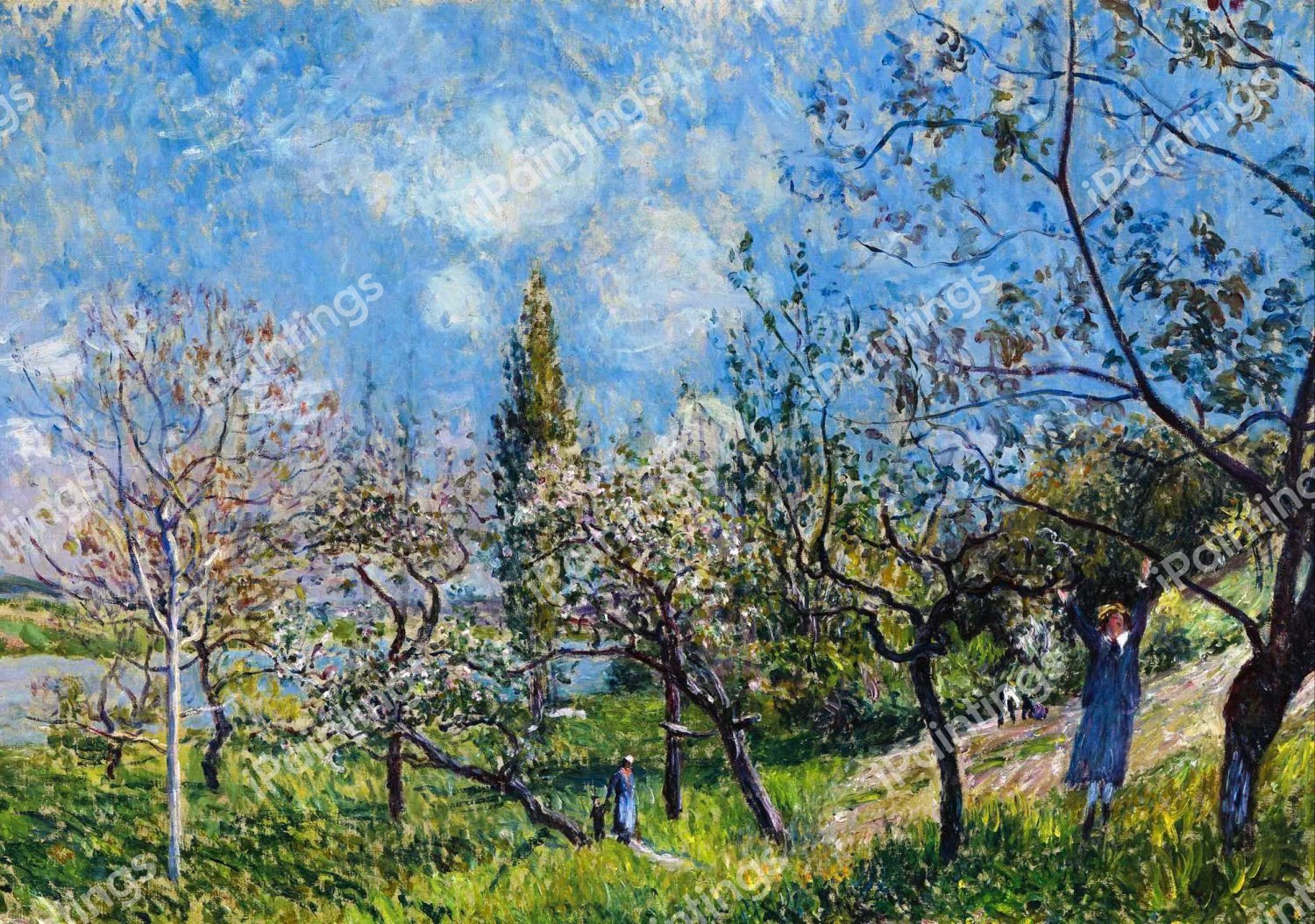 Orchard in Spring. The painting by Alfred Sisley