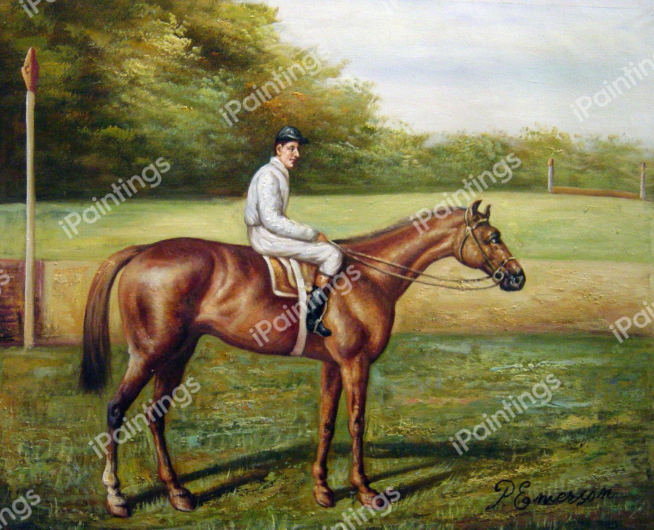 Chestnut Racehorse. The painting by Allen Culpeper Sealy