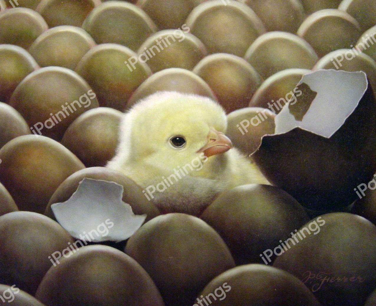 An Innocent Baby Chick. The painting by Our Originals
