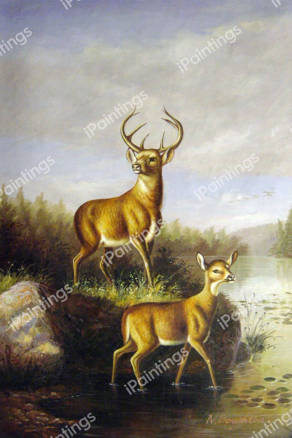 Buck And Doe. The painting by Arthur Fitzwilliam Tait