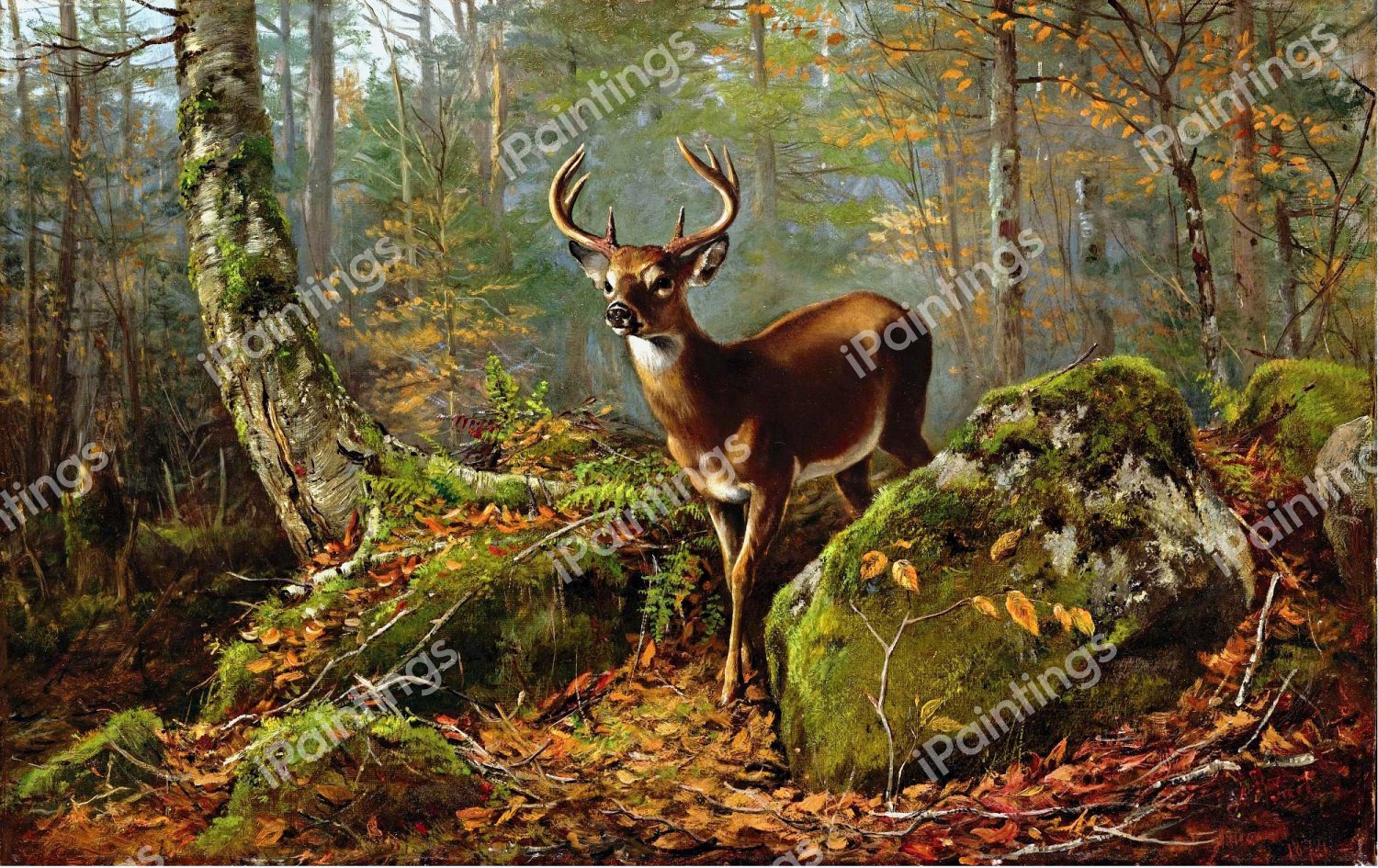 Buck in the Forest. The painting by Arthur Fitzwilliam Tait