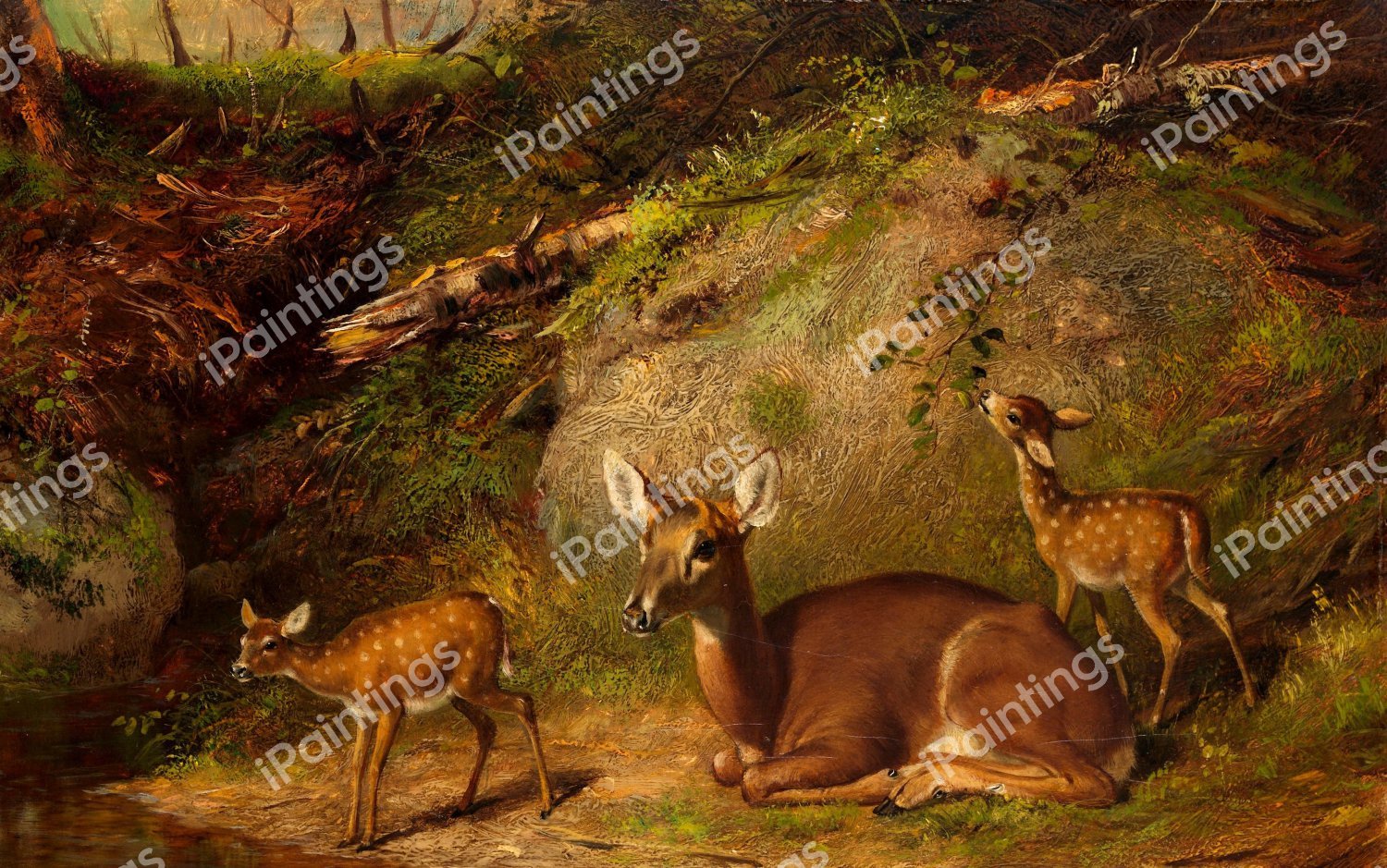 Doe and Two Fawns. The painting by Arthur Fitzwilliam Tait