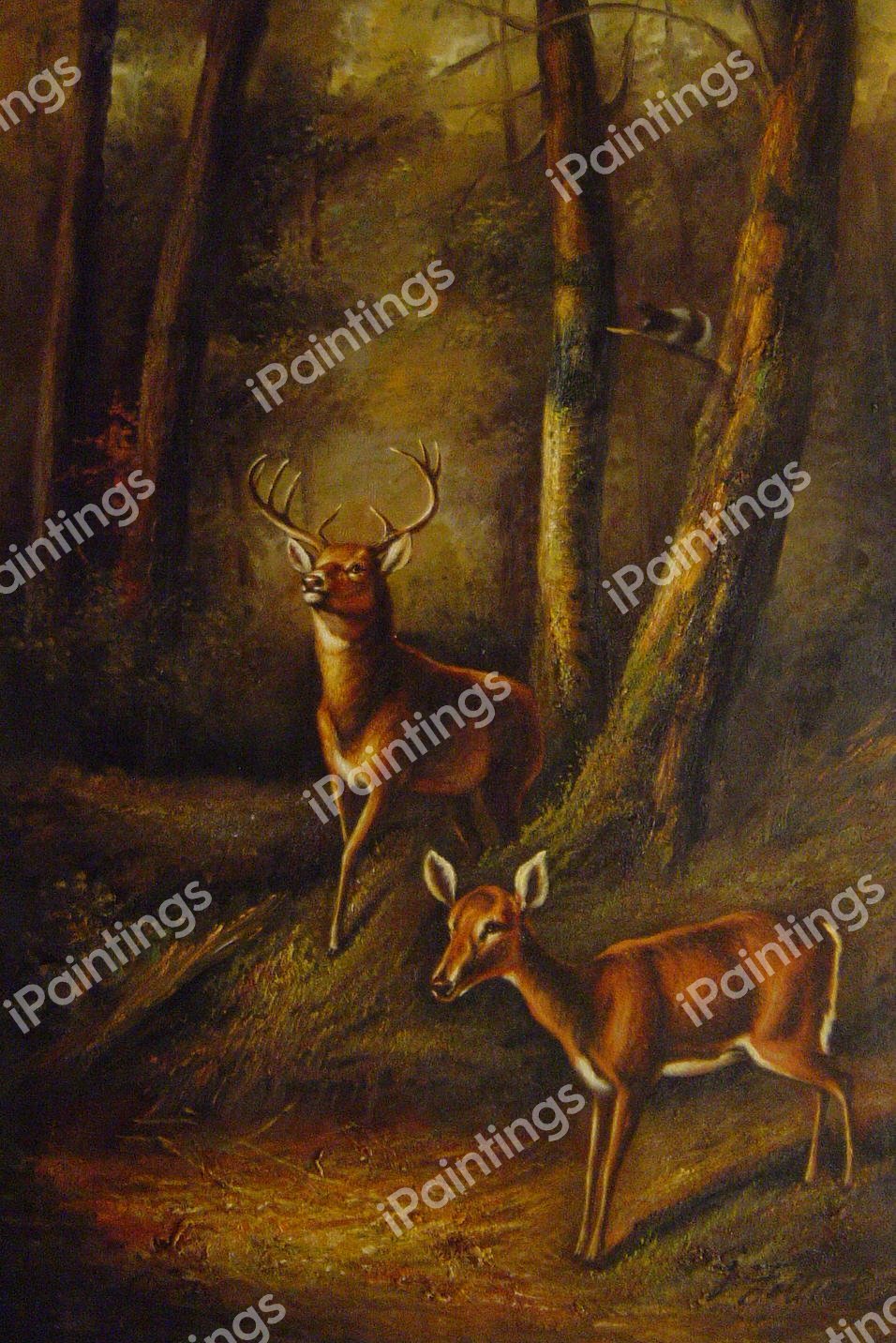 The Forest, Adirondacks. The painting by Arthur Fitzwilliam Tait