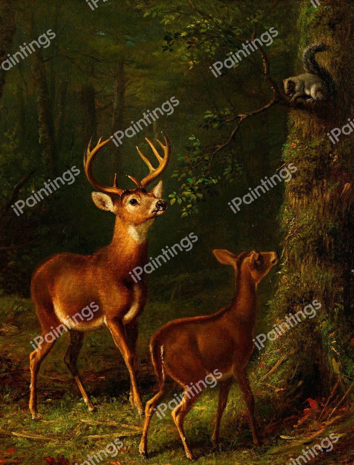 The Forest, Adirondacks. The painting by Arthur Fitzwilliam Tait