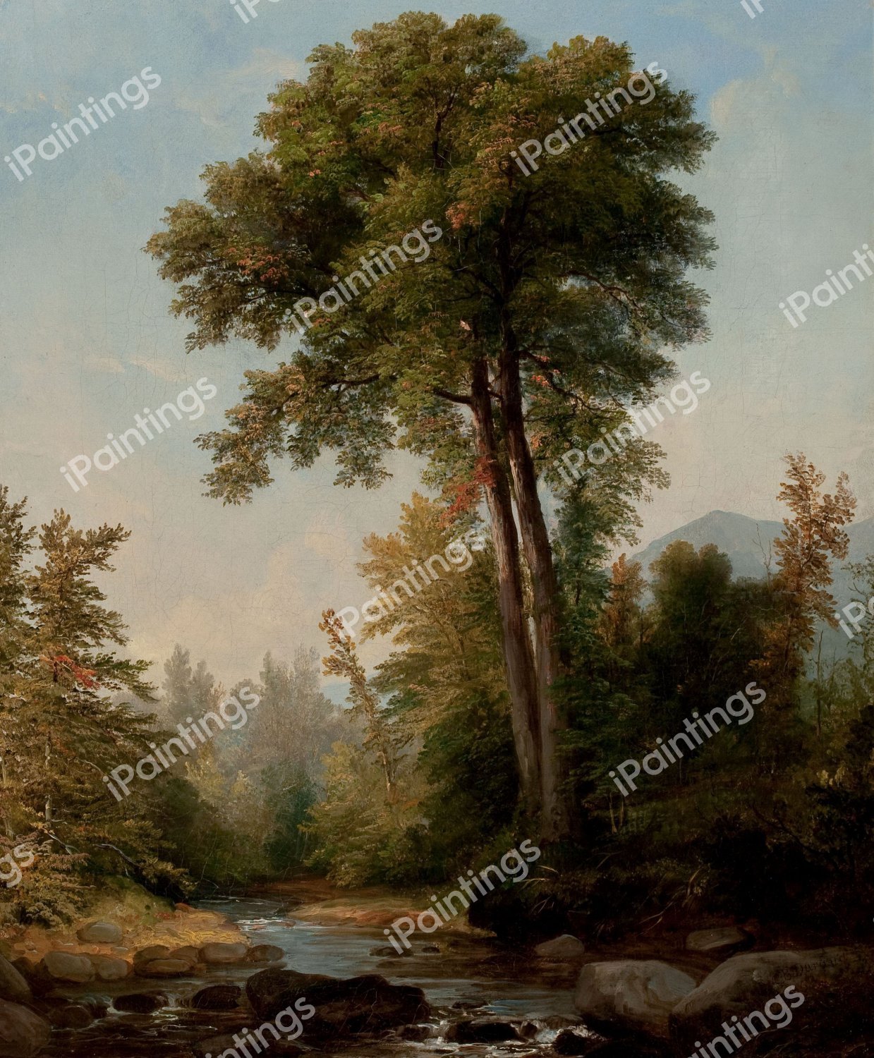 A Natural Monarch. The painting by Asher Brown Durand