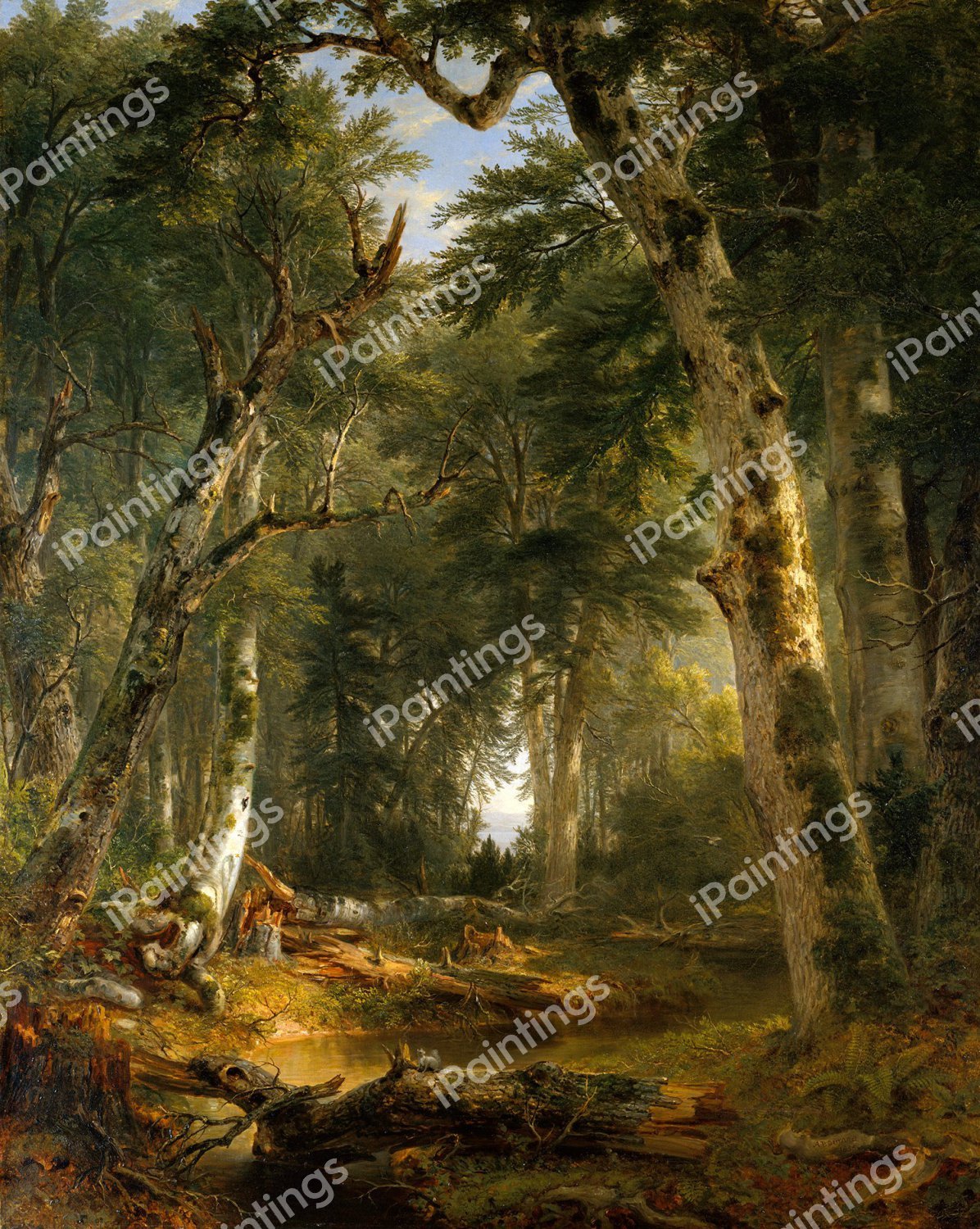 In the Woods. The painting by Asher Brown Durand