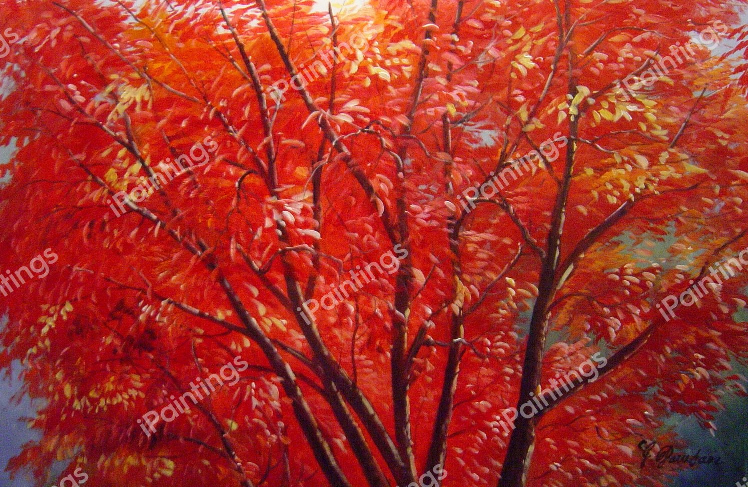 Autumn Beauty. The painting by Our Originals