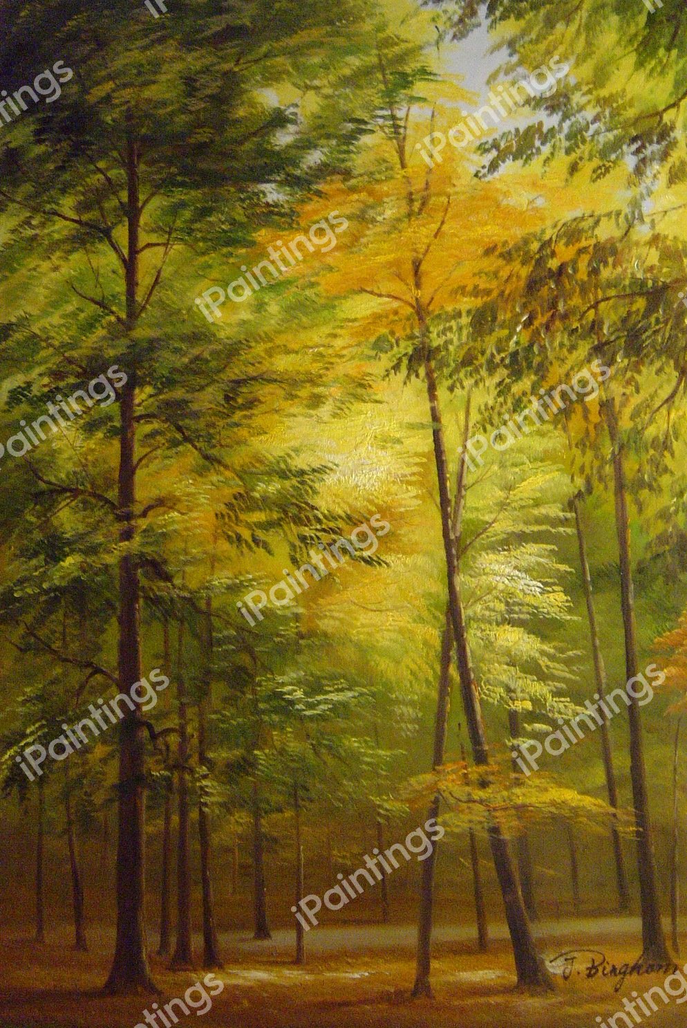 Autumn In The Country. The painting by Our Originals