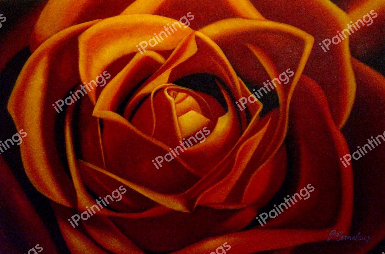 Autumn Rose. The painting by Our Originals