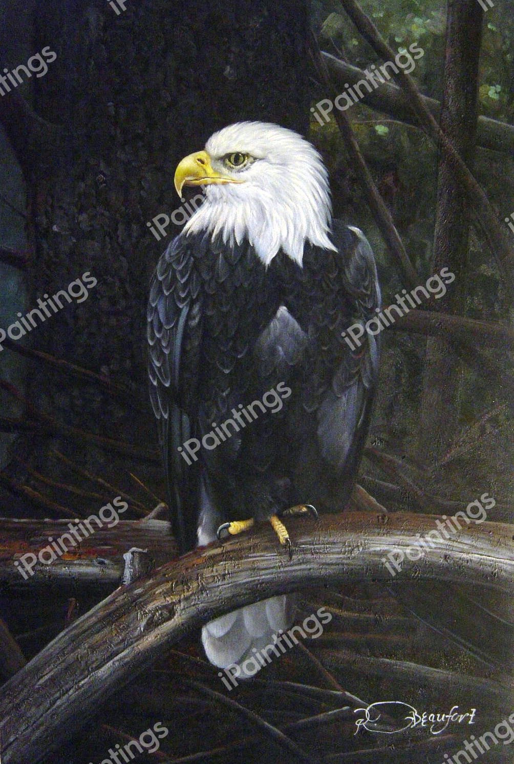 Bald Eagle. The painting by Our Originals