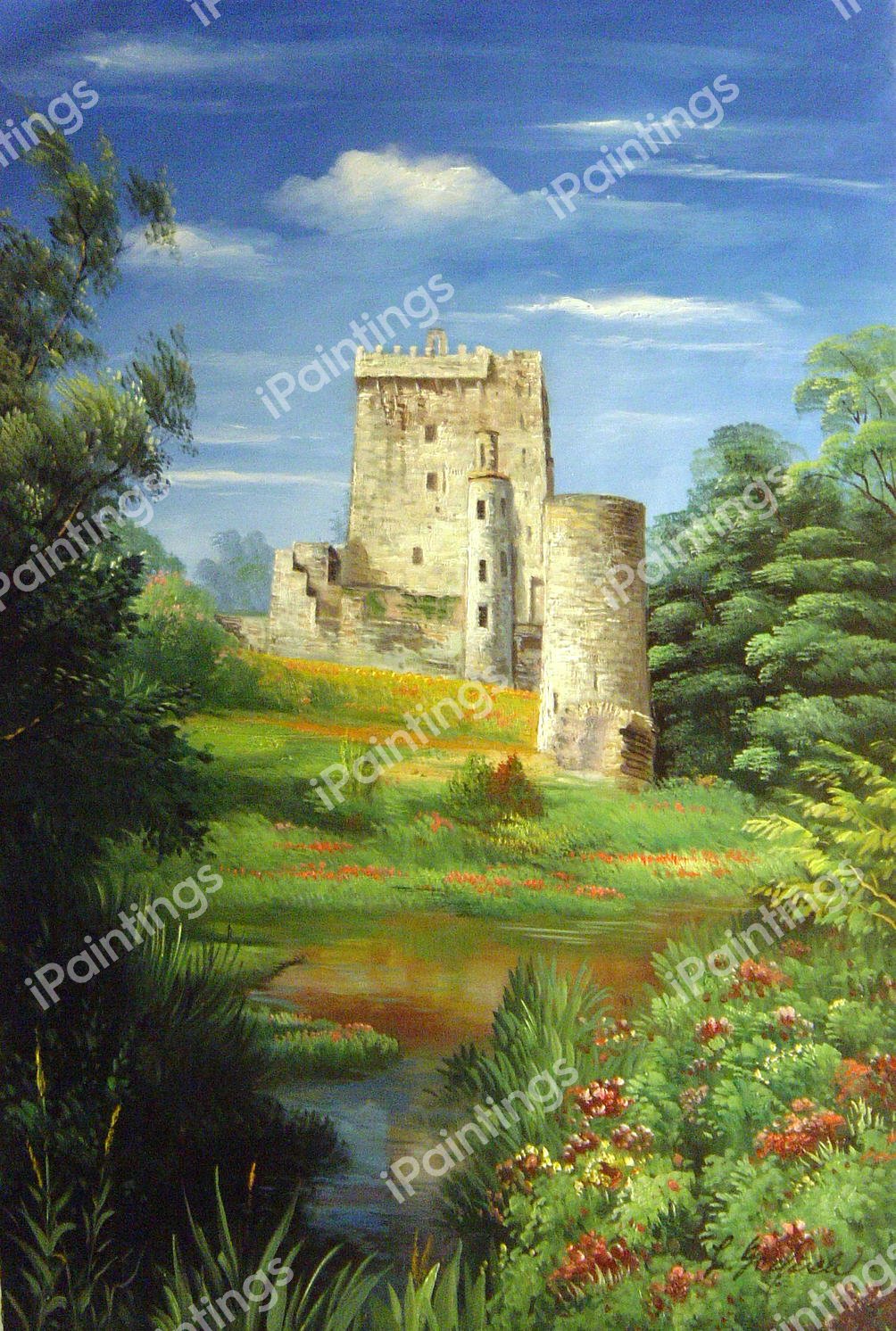 Blarney Stone Castle. The painting by Our Originals