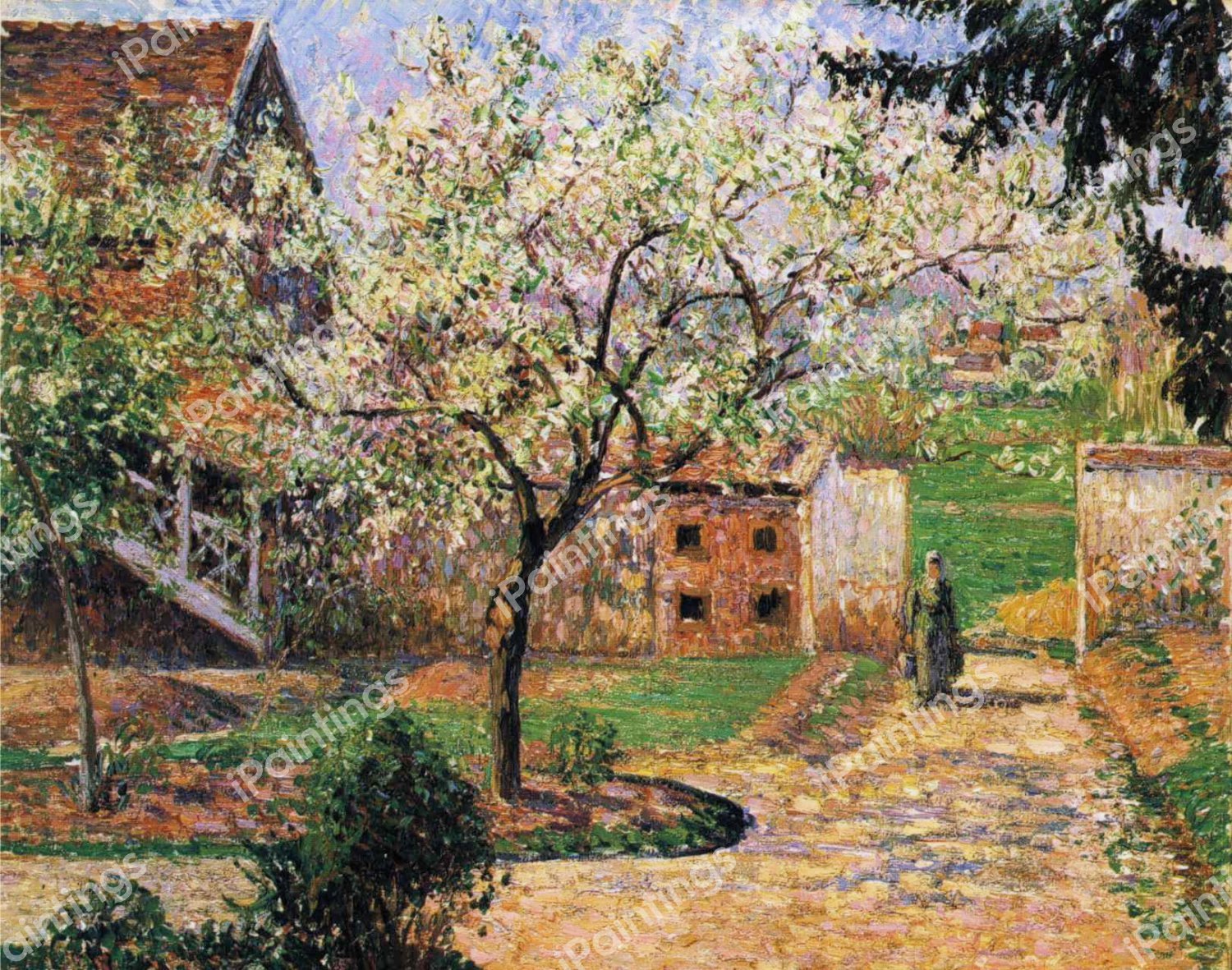 A Flowering Plum Tree, Eragny. The painting by Camille Pissarro