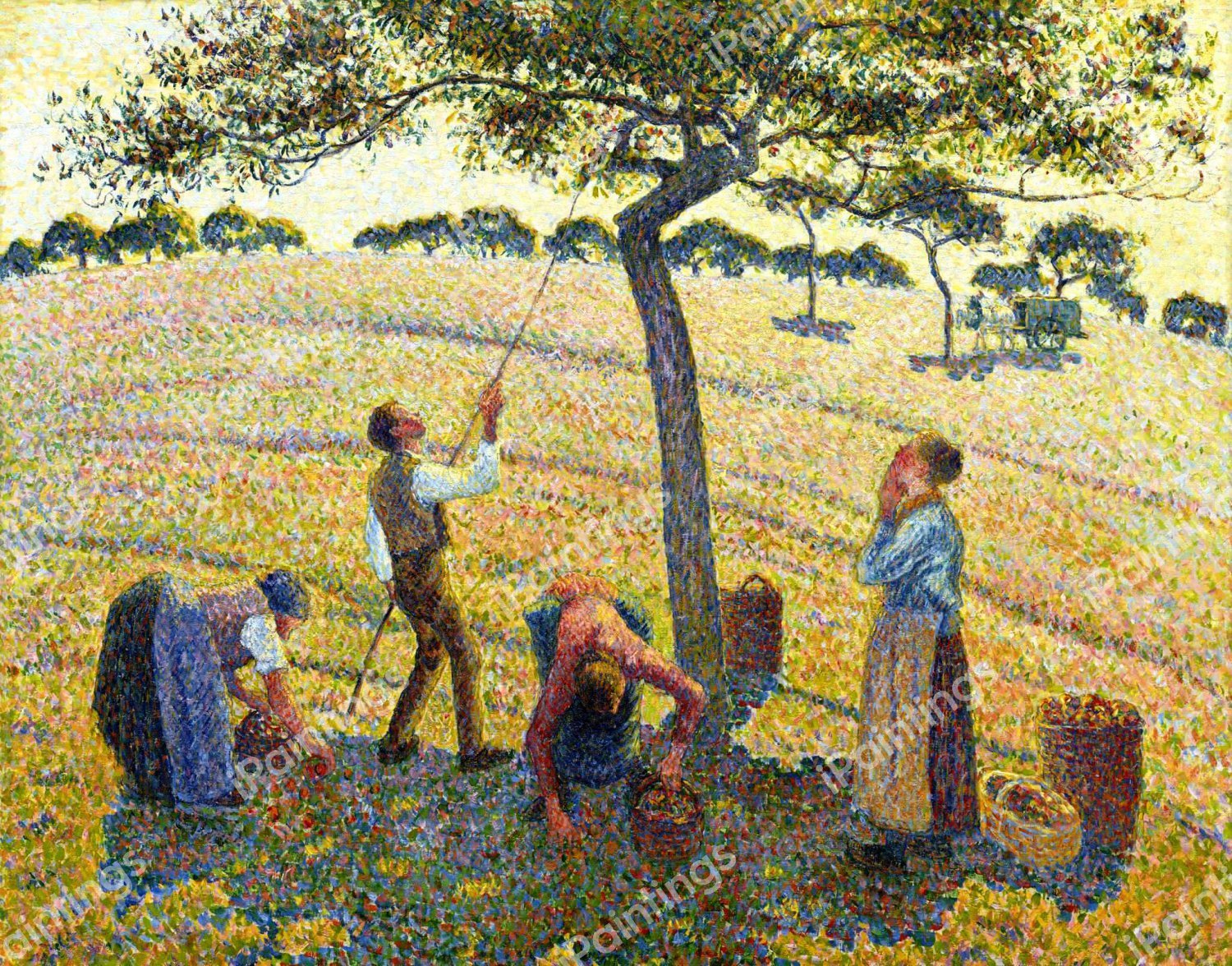 Apple Harvest at Eragny. The painting by Camille Pissarro