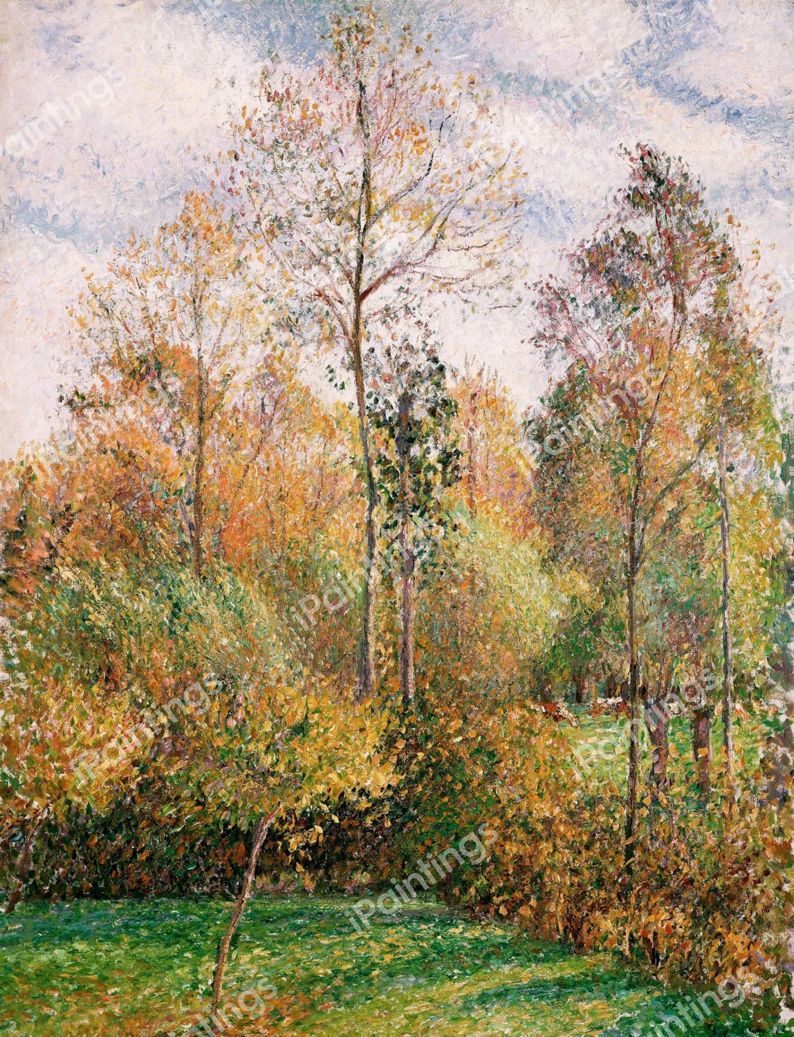 Autumn Poplars, Eragny. The painting by Camille Pissarro